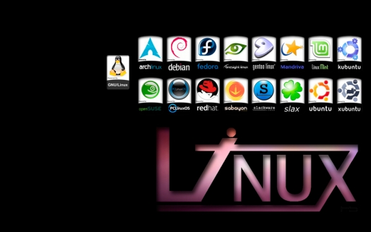 Linux y sus distribuciones ¿Cuál usar?
